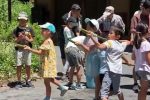 夏休み竹細工～水鉄砲・竹のけん玉作りと遊び～追加募集！
